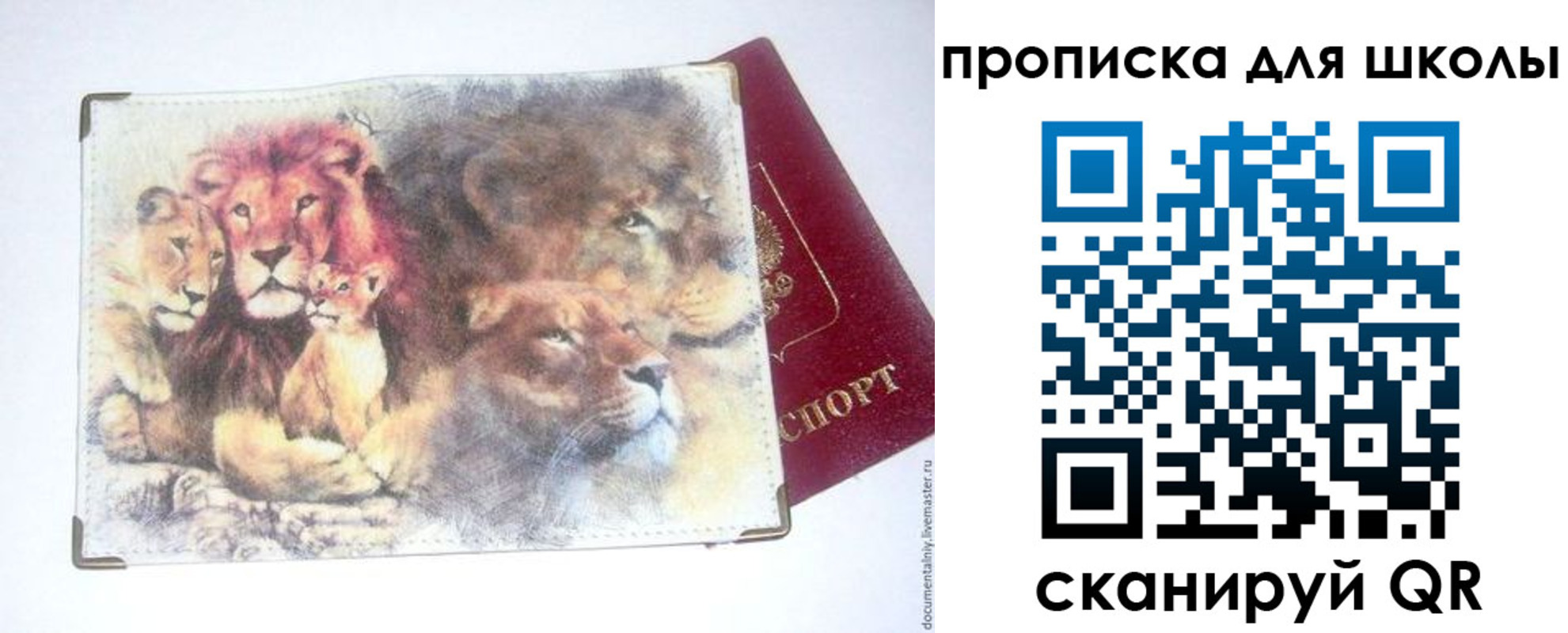 временная регистрация гарантия в Чкаловске