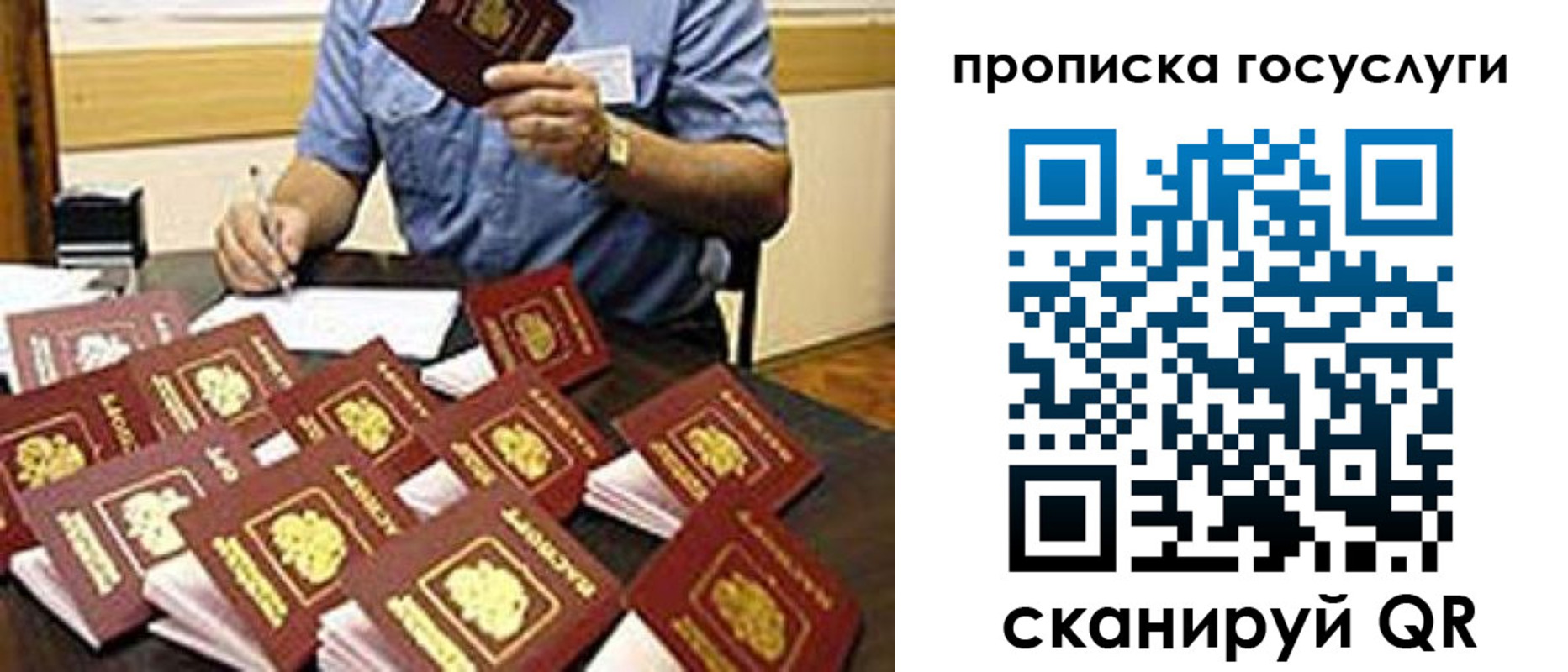 временная регистрация купить в Чкаловске