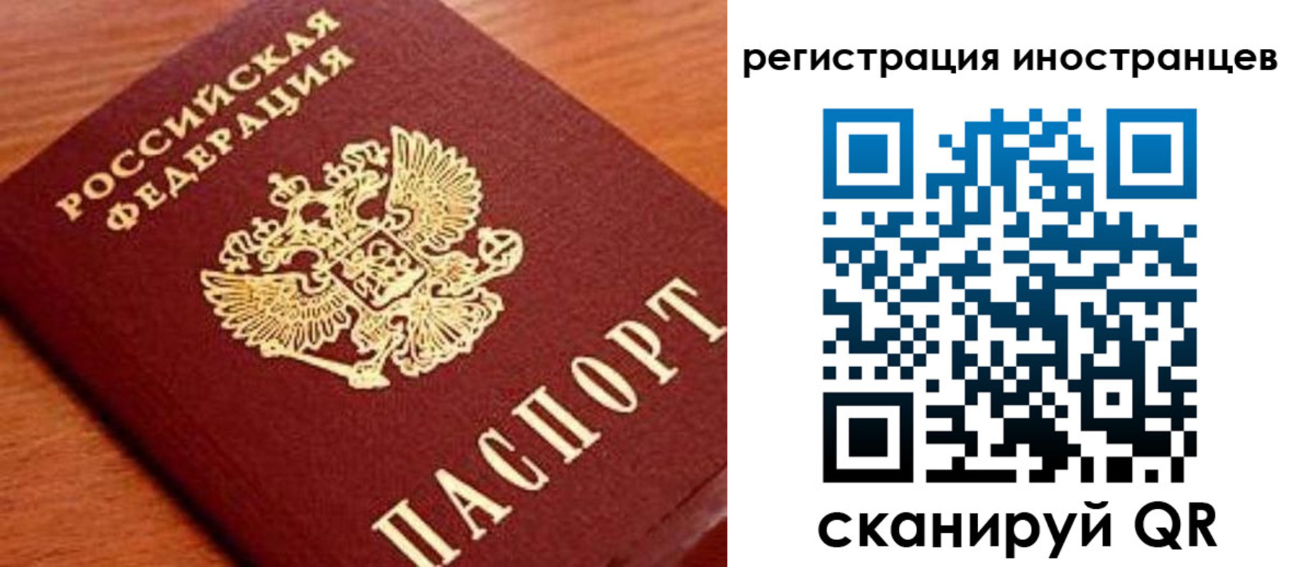 временная регистрация поиск в Чкаловске